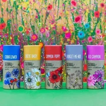 Wildflower Seedball Tubes — A Bee-Friendly Gift for Gardeners