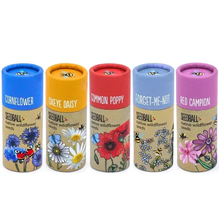 Wildflower Seedball Tubes — A Bee-Friendly Gift for Gardeners