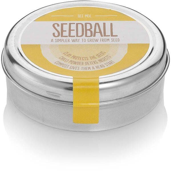 Bee Seedball Wildflower Tin