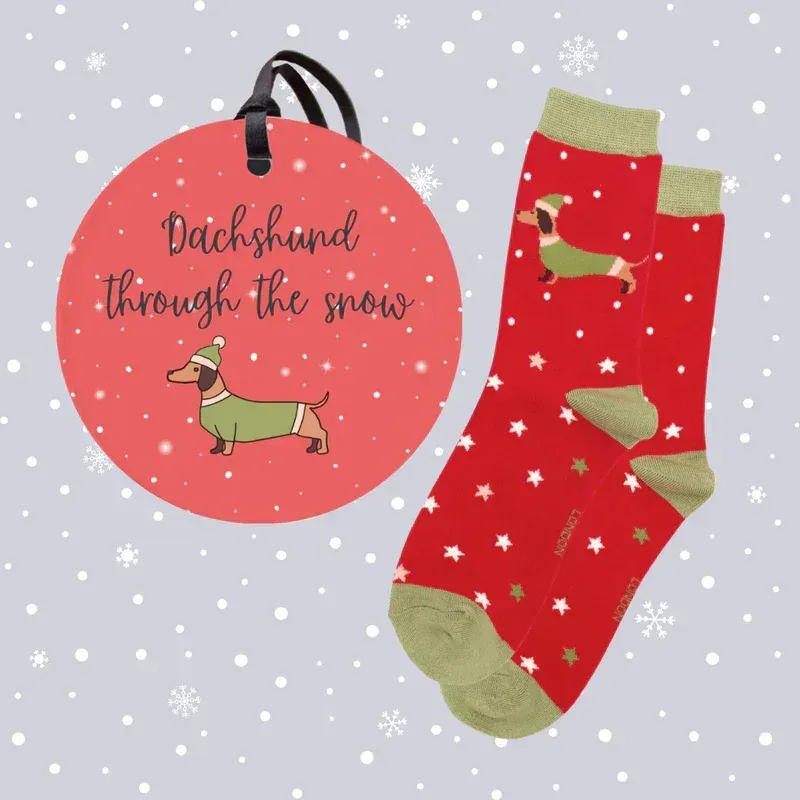 'Dachshund Through The Snow' Set (size 4-7)