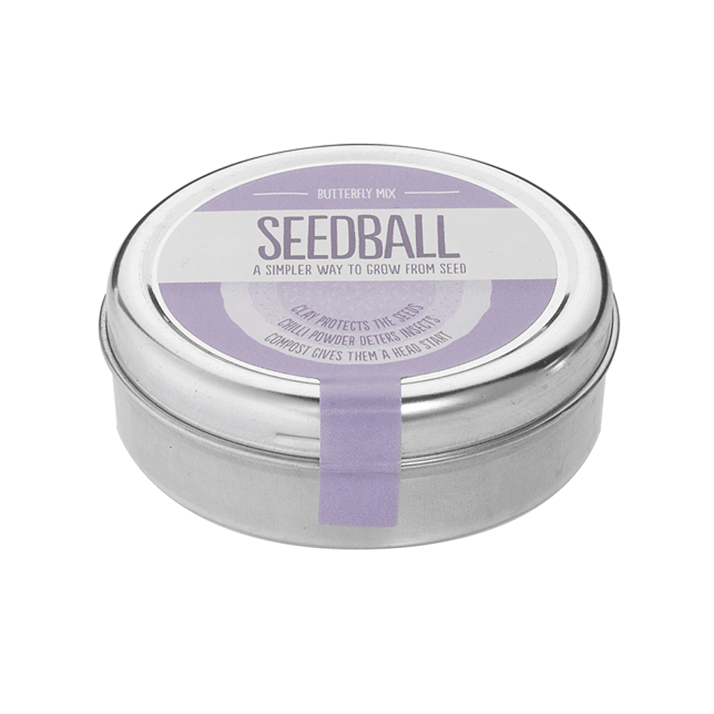 Butterfly Seedball Wildflower Tin