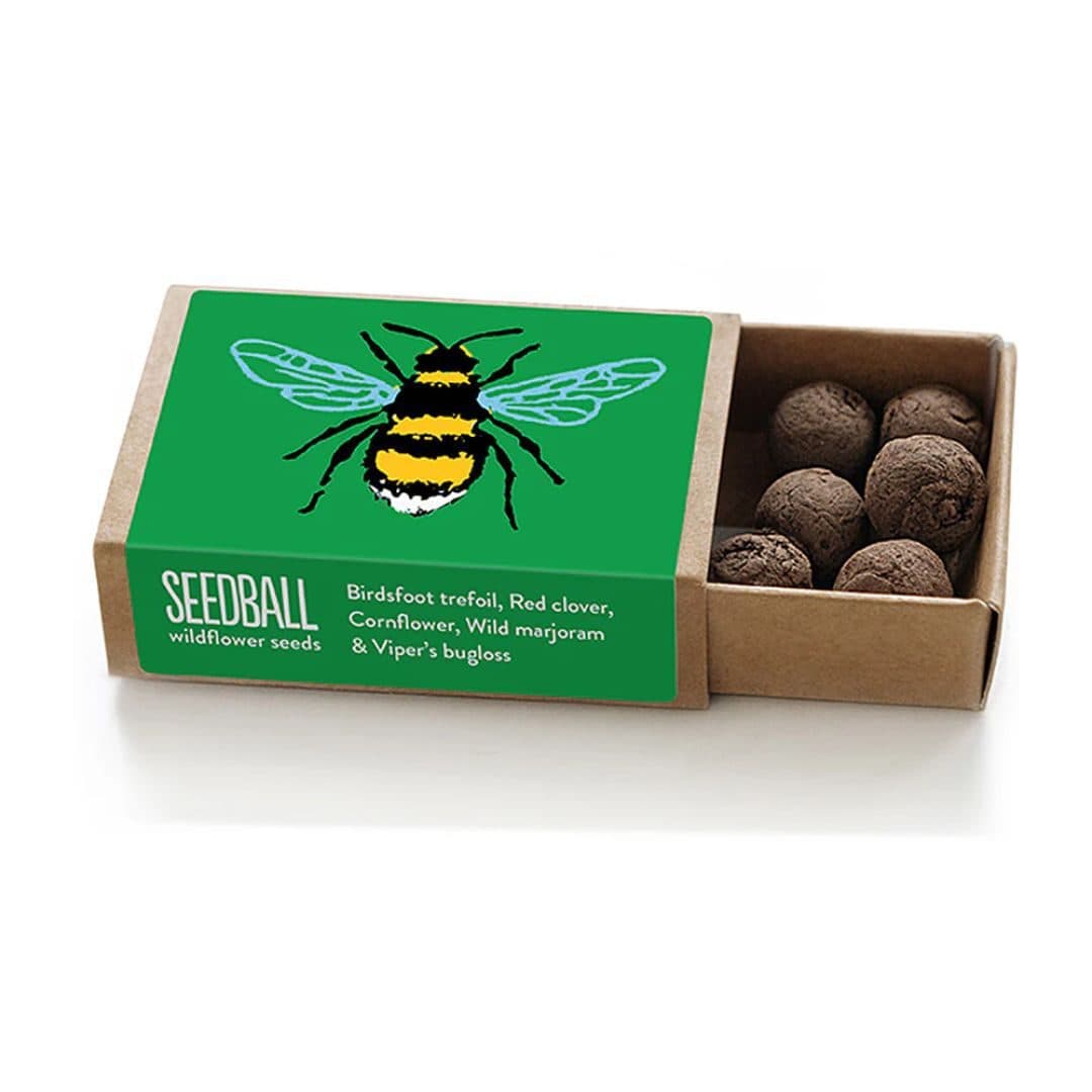 Green Bee Mix Seedball Matchbox