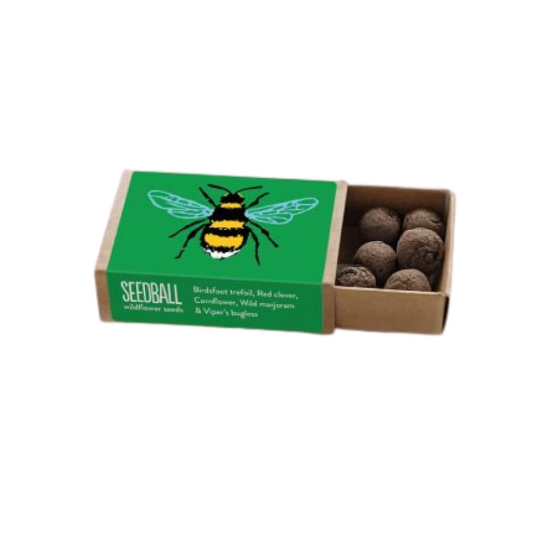 Green Bee Mix Seedball Matchbox