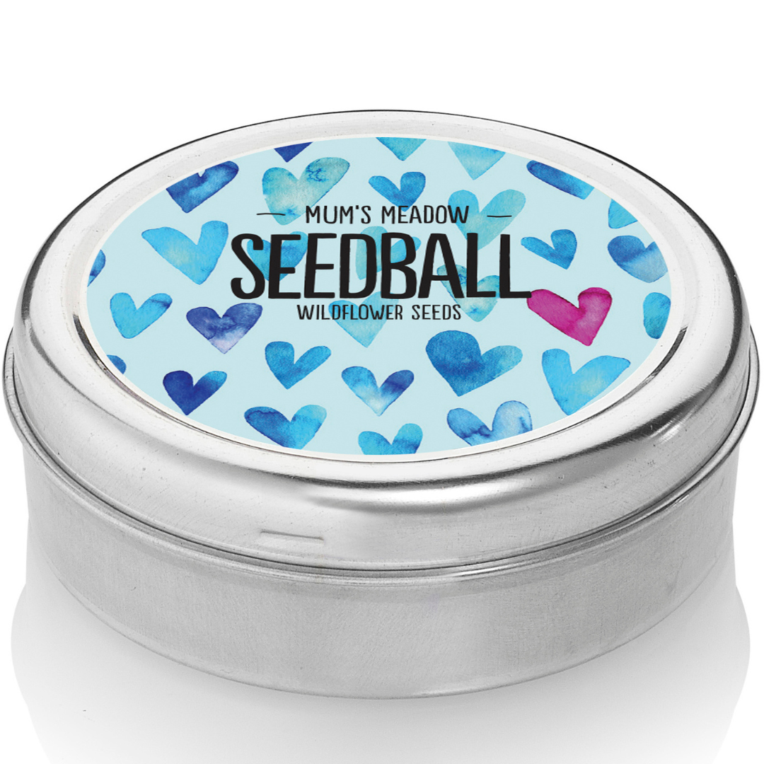 Mum's Meadow Seedball Wildflower Tin